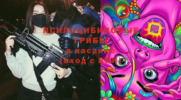 мяу мяу мука Зеленодольск