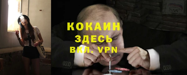 кокс Инта
