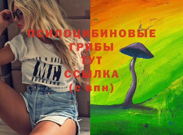 кокс Инта