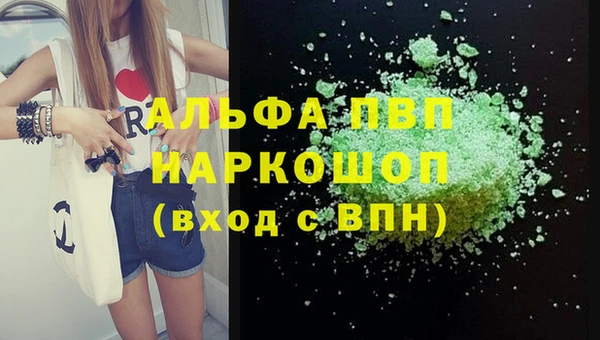 прущий лед Инсар