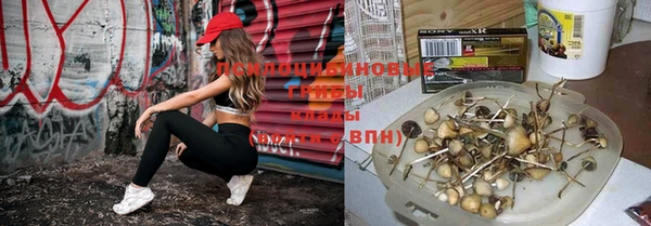 мдпв Зерноград