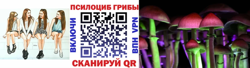Галлюциногенные грибы мицелий  купить закладку  Талдом 