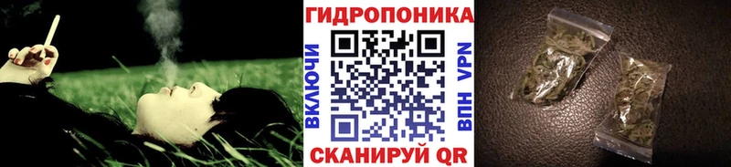 Марихуана марихуана  как найти   Талдом 